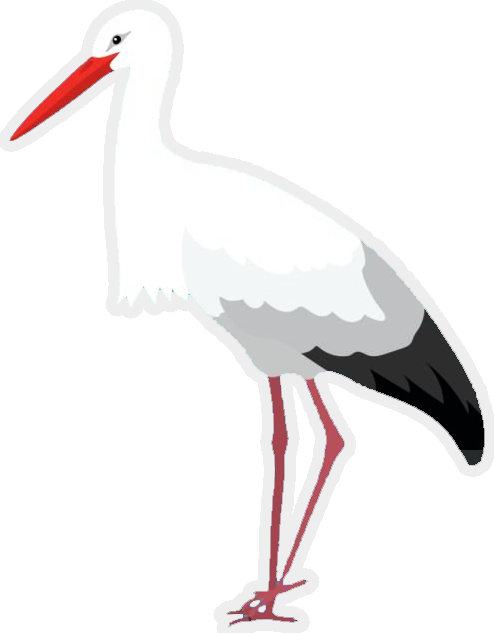 cigogne