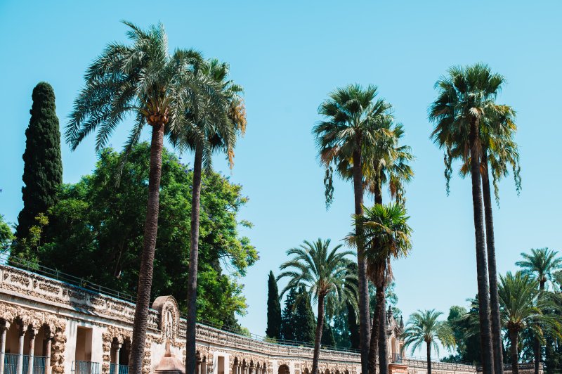 Le vrai Alcàzar 💃 - Andalousie : andalousie, espagne, alhambra, alcazar (photo 8)