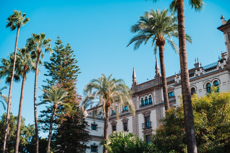 Le vrai Alcàzar 💃 - Andalousie : andalousie, espagne, alhambra, alcazar (photo 11)