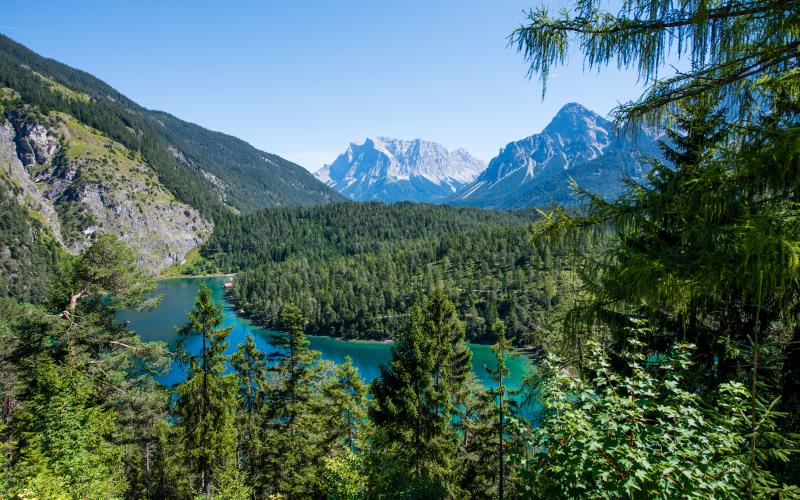 photographe strasbourg alsace