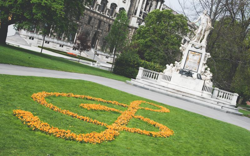 photographe strasbourg alsace