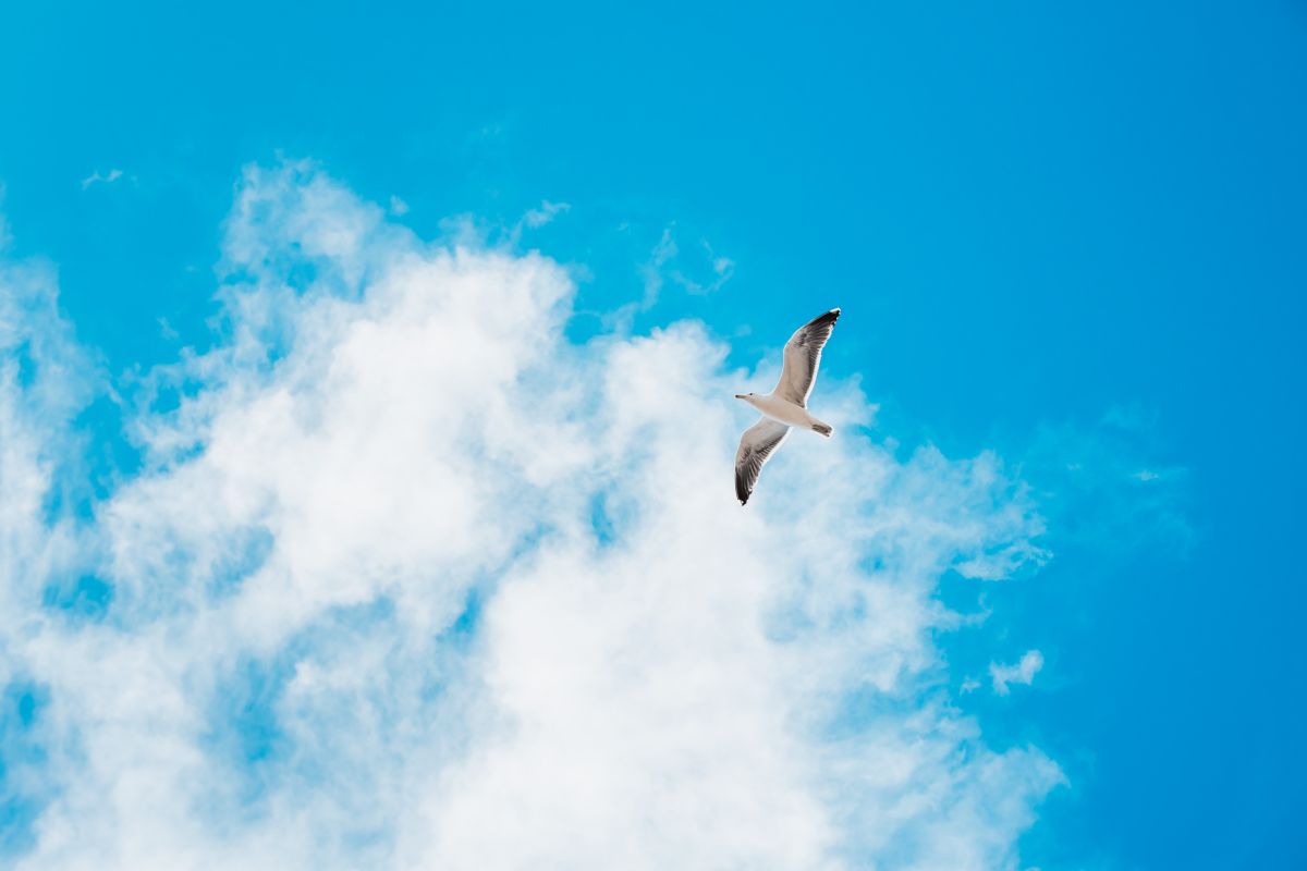 photographe strasbourg alsace