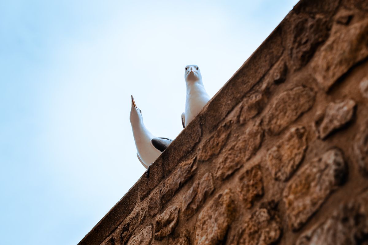 photographe strasbourg alsace