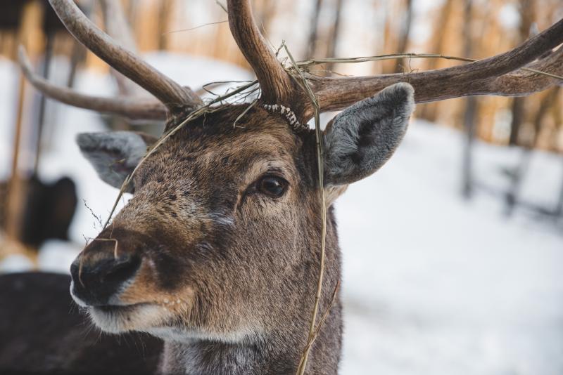 photographe strasbourg alsace