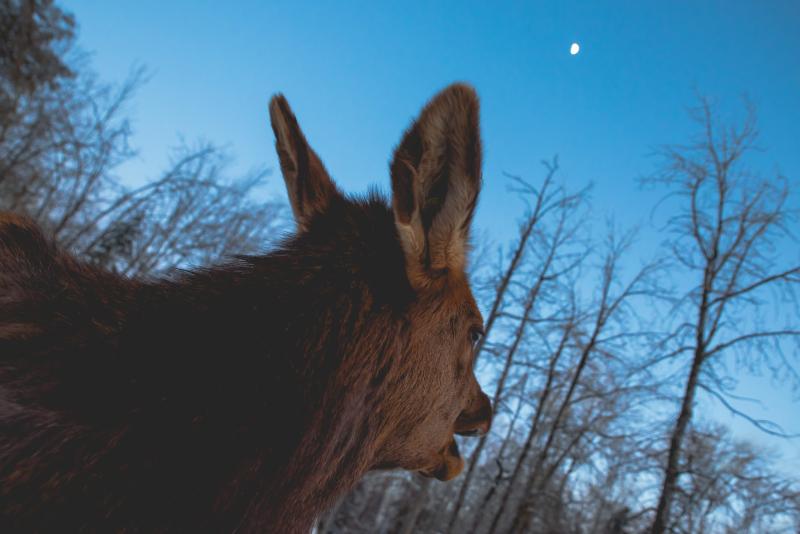 photographe strasbourg alsace