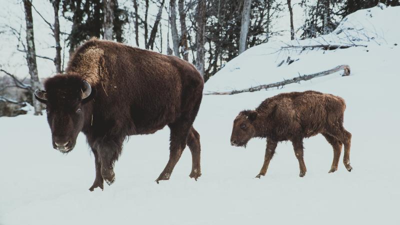 photographe strasbourg alsace