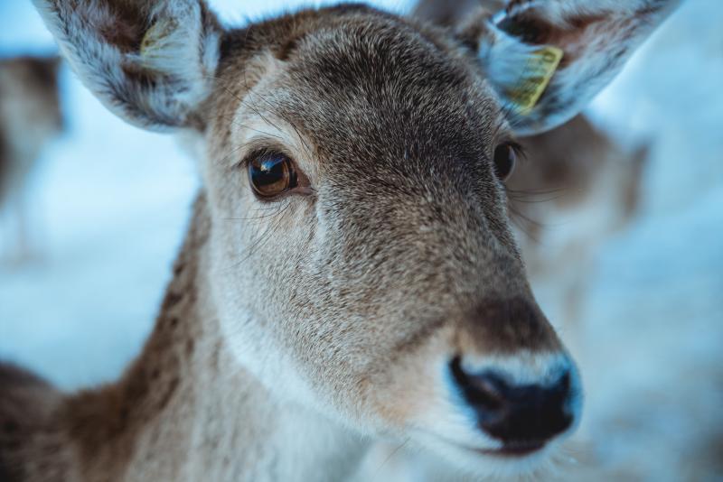 photographe strasbourg alsace