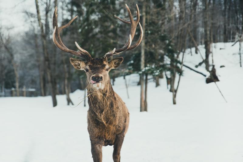 photographe strasbourg alsace