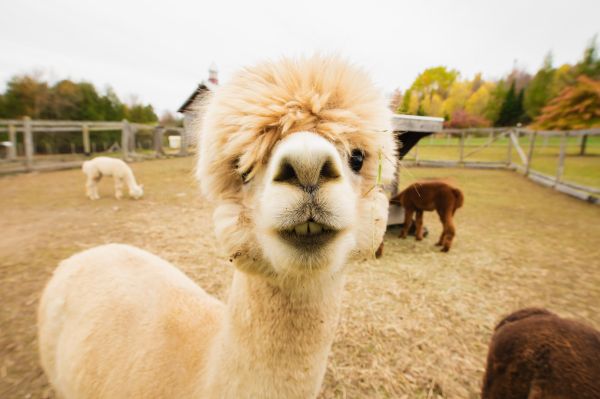 photographe strasbourg alsace