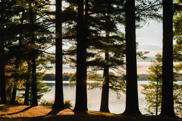 photographe strasbourg alsace