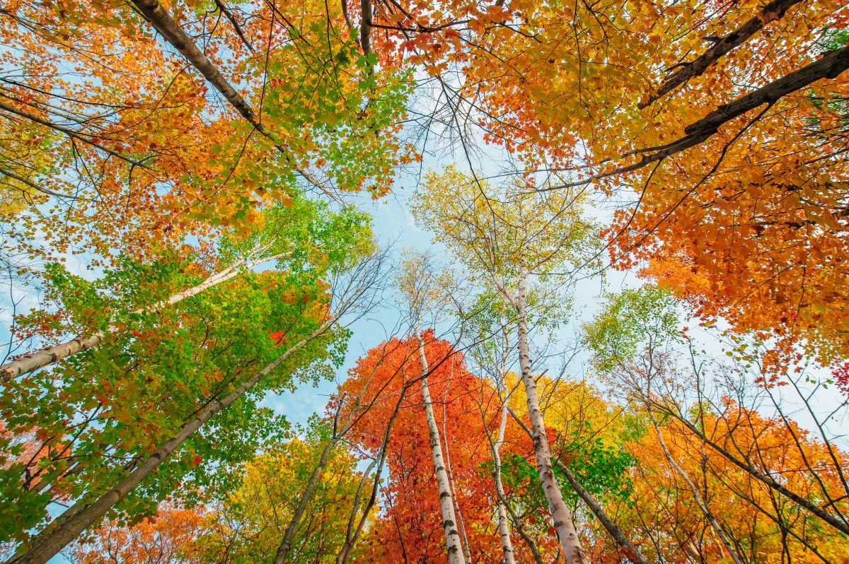 photographe strasbourg alsace