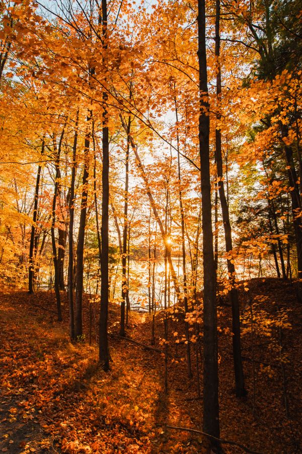 photographe strasbourg alsace