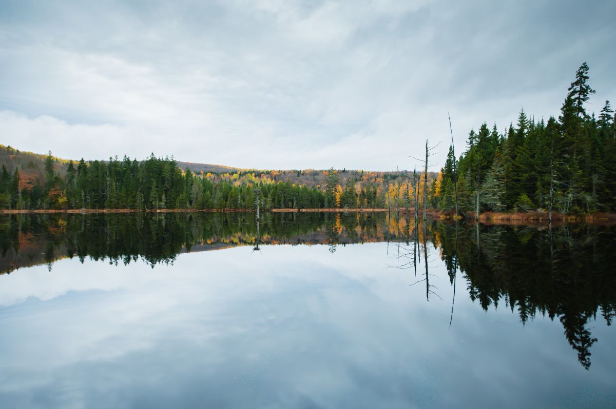 photographe strasbourg alsace