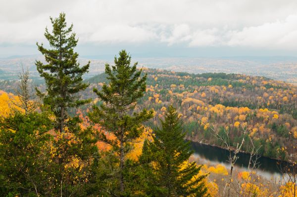 photographe strasbourg alsace