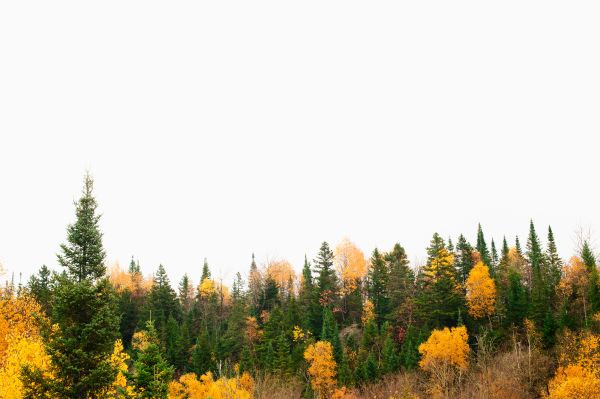 photographe strasbourg alsace