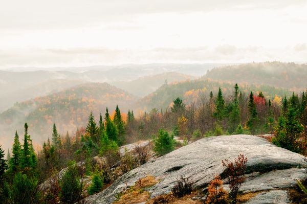 photographe strasbourg alsace