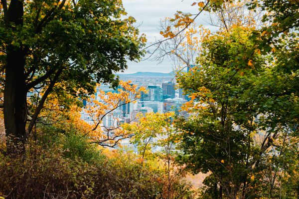 photographe strasbourg alsace
