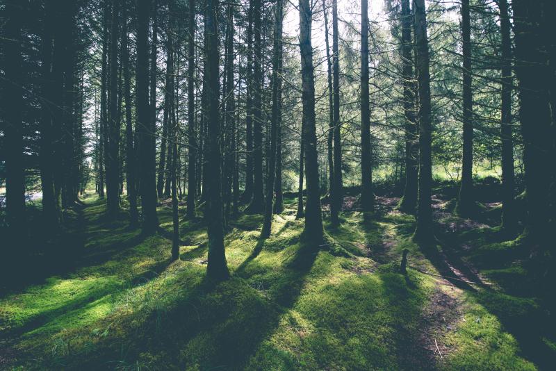 photographe strasbourg alsace