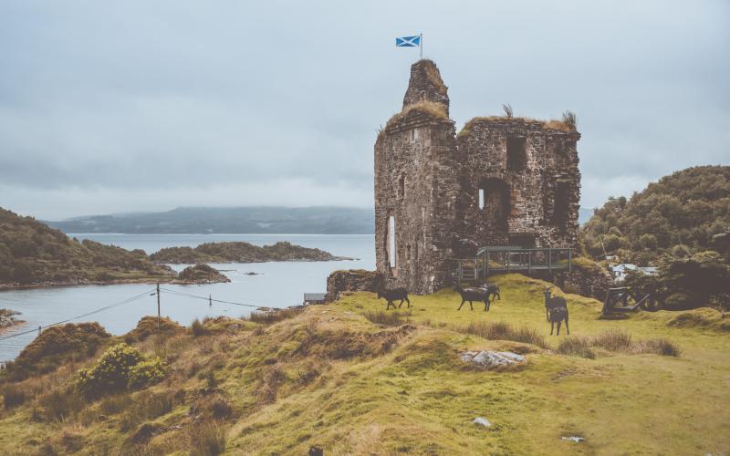 photographe strasbourg alsace