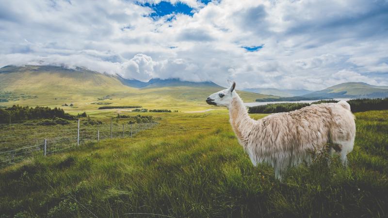 photographe strasbourg alsace