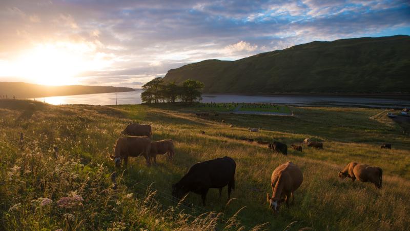 photographe strasbourg alsace