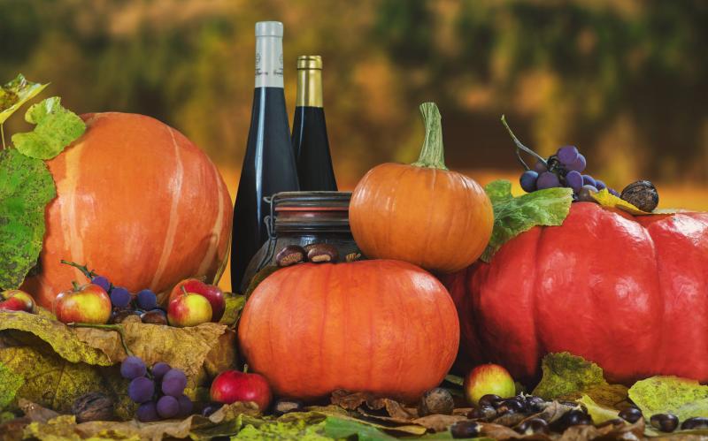 photographe strasbourg alsace