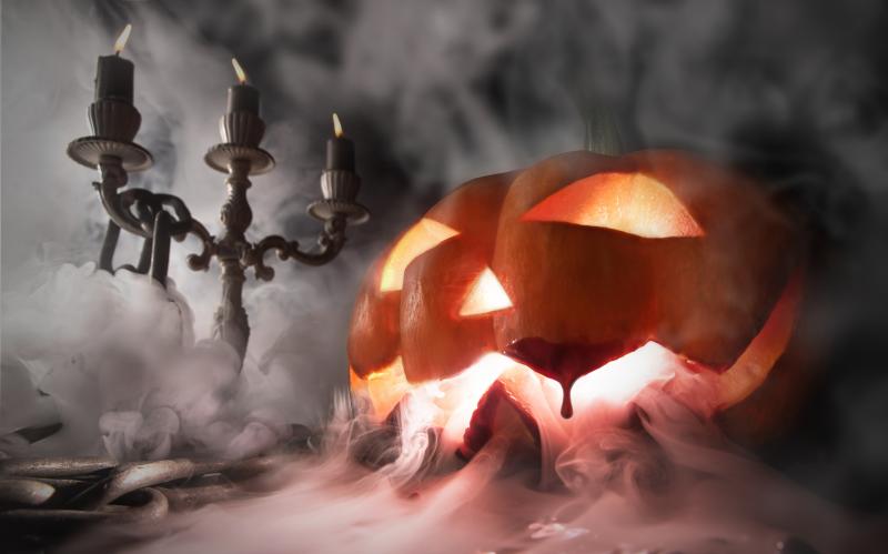 photographe strasbourg alsace