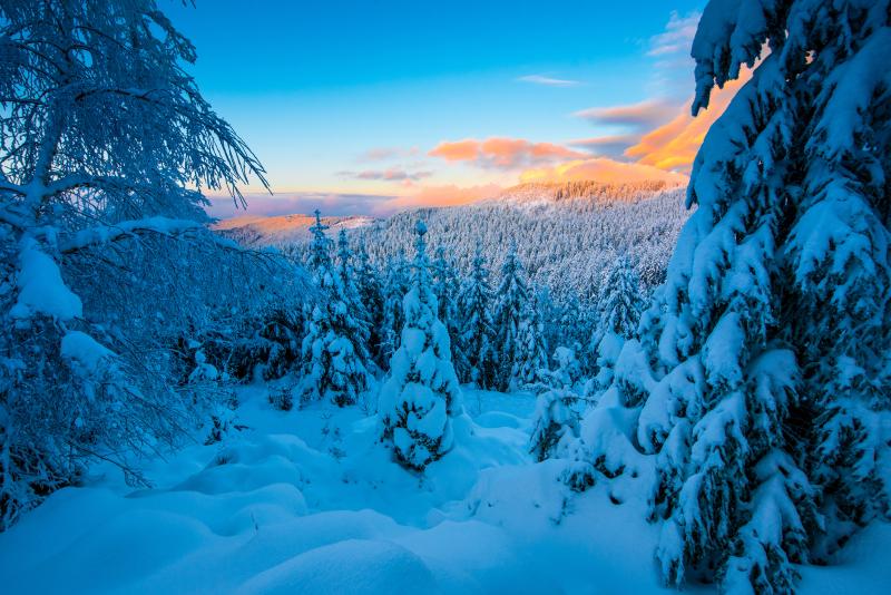 photographe strasbourg alsace