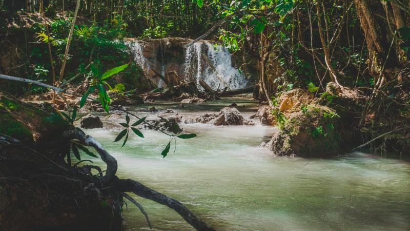 photographe strasbourg alsace