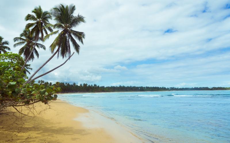 photographe strasbourg alsace