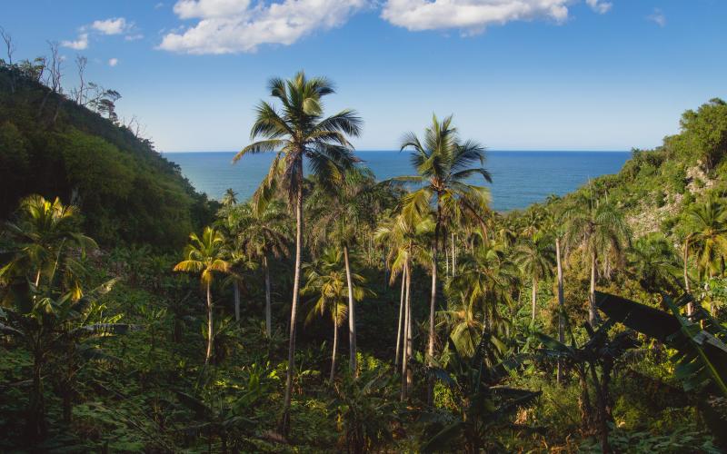 photographe strasbourg alsace