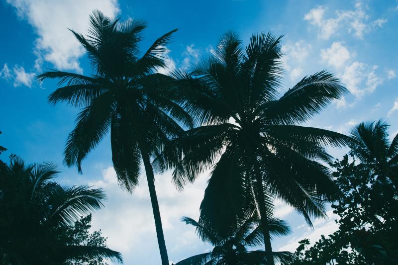 photographe strasbourg alsace