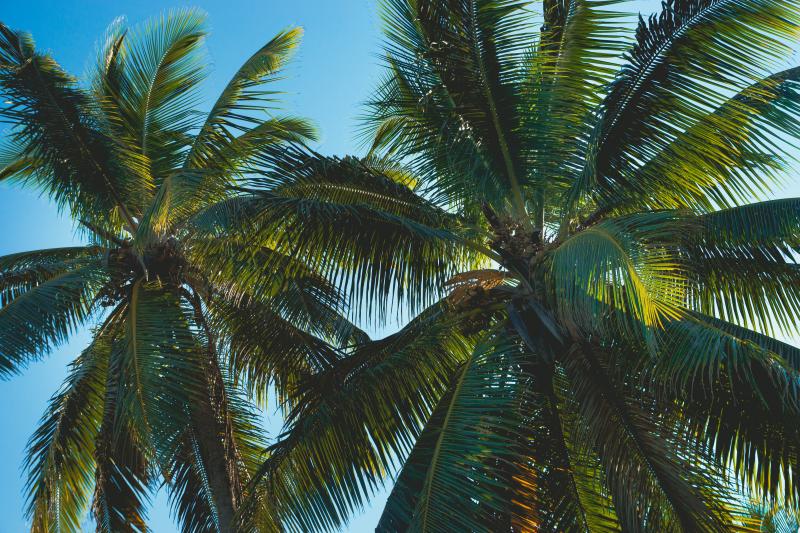 photographe strasbourg alsace