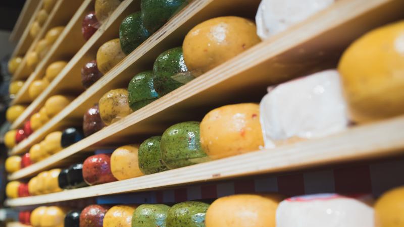 photographe strasbourg alsace