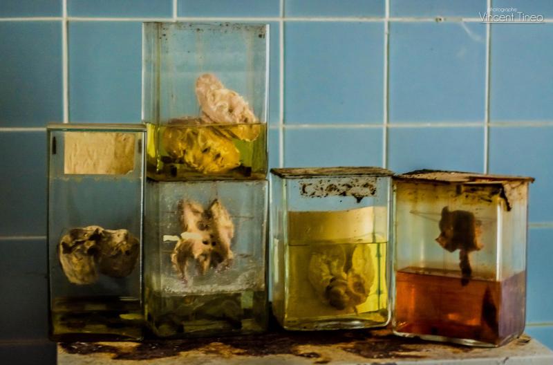 photographe strasbourg alsace